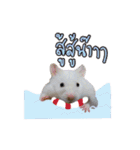 Hamster Jiffow's Home（個別スタンプ：9）
