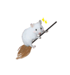 Hamster Jiffow's Home（個別スタンプ：12）