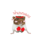 Hamster Jiffow's Home（個別スタンプ：13）