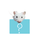 Hamster Jiffow's Home（個別スタンプ：16）