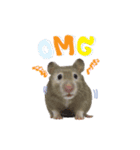 Hamster Jiffow's Home（個別スタンプ：18）