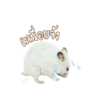 Hamster Jiffow's Home（個別スタンプ：19）