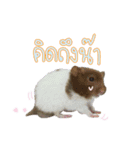 Hamster Jiffow's Home（個別スタンプ：23）