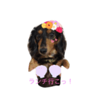 毎日むさこ（個別スタンプ：12）