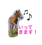 馬♡御崎馬 2（個別スタンプ：3）