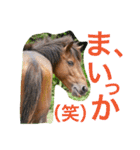 馬♡御崎馬 2（個別スタンプ：8）
