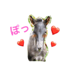 馬♡御崎馬 2（個別スタンプ：20）