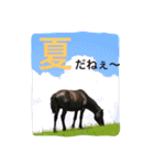 馬♡御崎馬 2（個別スタンプ：23）