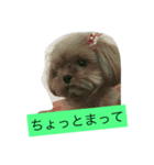 くうたす（個別スタンプ：2）