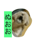 くうたす（個別スタンプ：3）