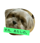 くうたす（個別スタンプ：4）