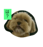 くうたす（個別スタンプ：5）