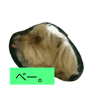くうたす（個別スタンプ：7）