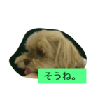 くうたす（個別スタンプ：8）