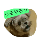 くうたす（個別スタンプ：9）