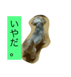 くうたす（個別スタンプ：10）