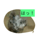 くうたす（個別スタンプ：11）