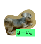 くうたす（個別スタンプ：12）