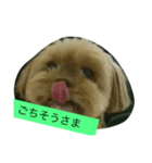 くうたす（個別スタンプ：16）