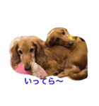 らっるいスタンプ第二弾（個別スタンプ：21）