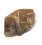 うさぎのぷーちゃん☆（個別スタンプ：3）