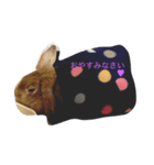 うさぎのぷーちゃん☆（個別スタンプ：7）