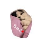 折れみみまろる Vol.3（個別スタンプ：5）