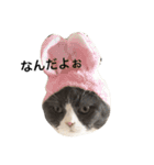 じょるさんと愉快な仲間達2（個別スタンプ：4）