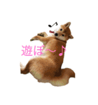 柴犬の一言（個別スタンプ：17）