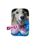 にゃろんぷ（個別スタンプ：2）