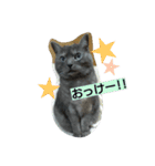 にゃろんぷ（個別スタンプ：3）