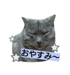 にゃろんぷ（個別スタンプ：4）
