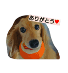にゃろんぷ（個別スタンプ：12）