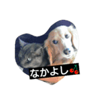 にゃろんぷ（個別スタンプ：16）
