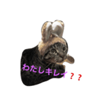 マツコメタボリック（個別スタンプ：3）