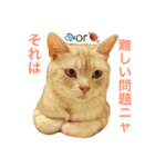 クーたん02（個別スタンプ：5）