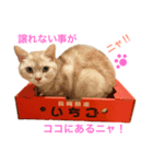 クーたん02（個別スタンプ：7）