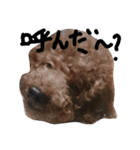 毛もののまなざし（個別スタンプ：6）