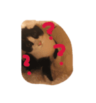 ねこスタンプ其の壱（個別スタンプ：1）