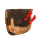 ねこスタンプ其の壱（個別スタンプ：3）