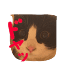 ねこスタンプ其の壱（個別スタンプ：4）