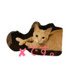 デール甘酒雷蔵 その①（個別スタンプ：8）