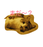 デール甘酒雷蔵 その①（個別スタンプ：11）