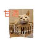 デール甘酒雷蔵 その①（個別スタンプ：14）