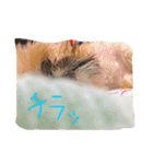 シーズーのルルちゃん（個別スタンプ：16）