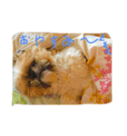 シーズーのルルちゃん（個別スタンプ：27）