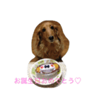 はっぴー♡わんこ（個別スタンプ：2）