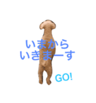 トイプー☆モモ（個別スタンプ：7）