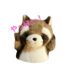 はらぺこタヌタヌ2（個別スタンプ：1）