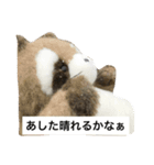 はらぺこタヌタヌ2（個別スタンプ：2）